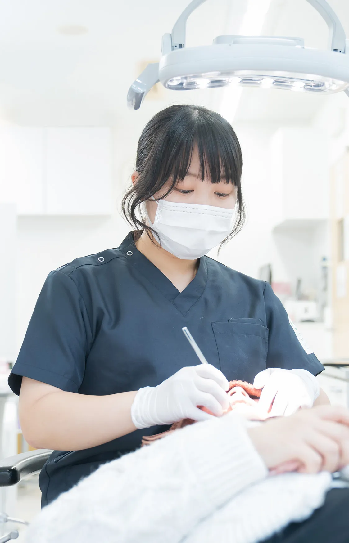 スケーリング風景